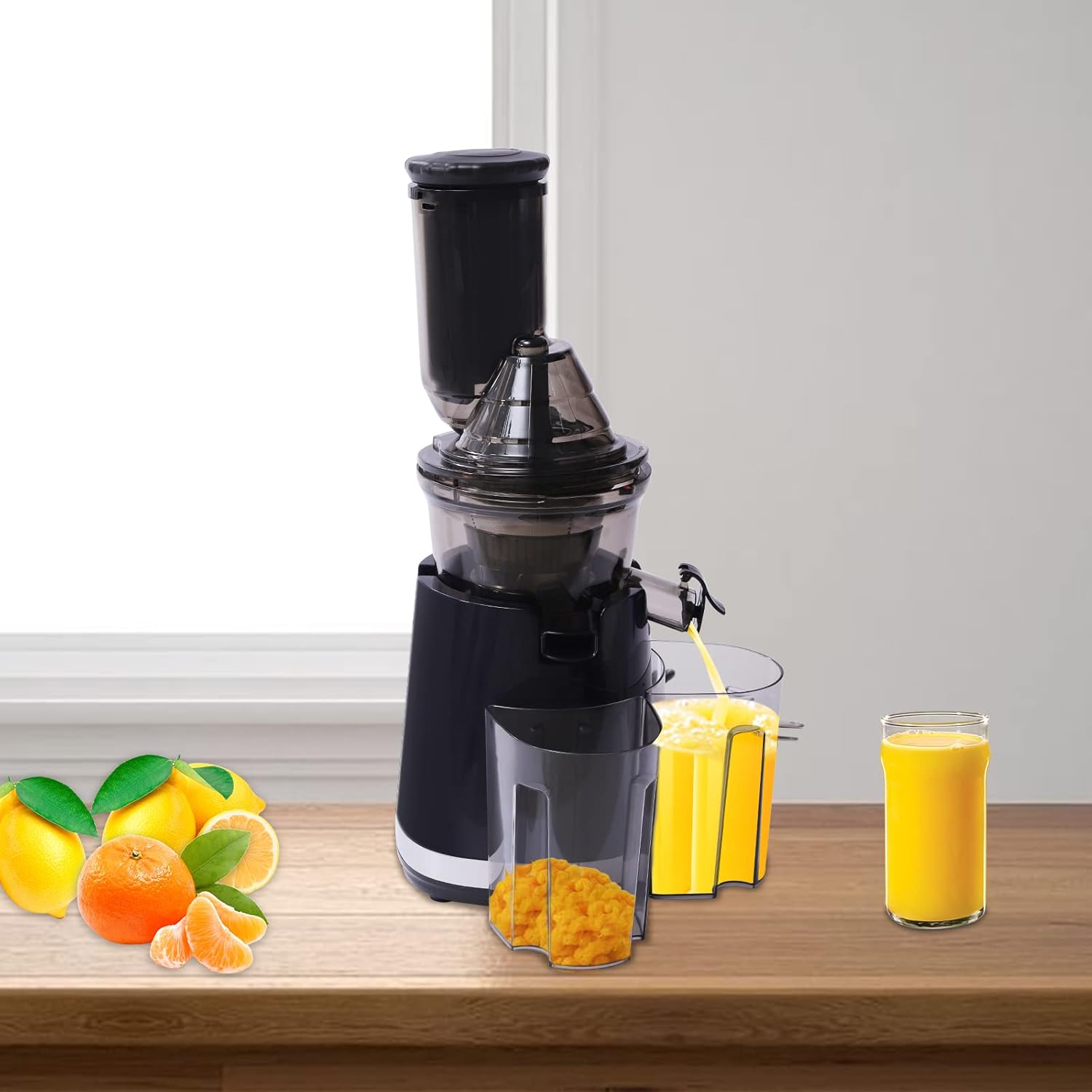 Commercial Electric Slow Masticating Juice with Reverse Function