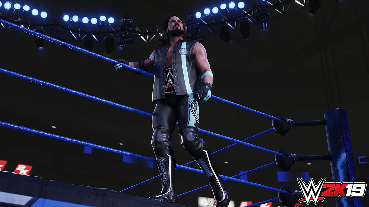WWE 2K19 - PlayStation 4 Pack of 2