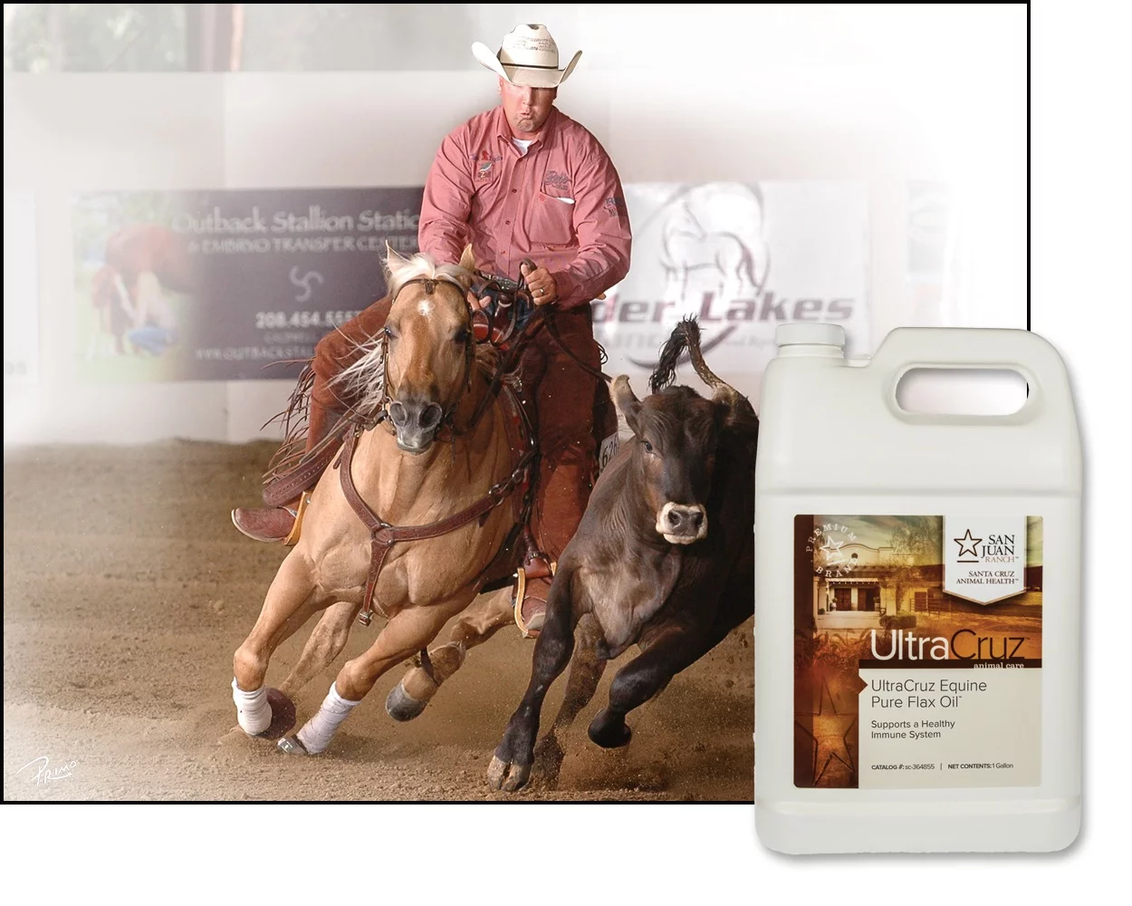 UltraCruz Pure Flax Oil Supplement for Horses and Livestock, 4 x 1 Gallon
