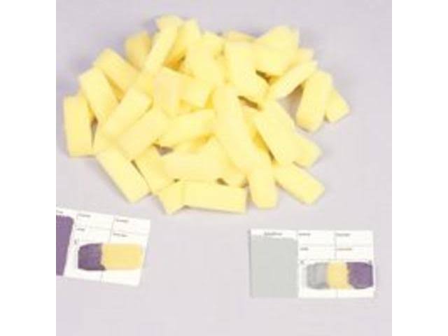 Foampro 41 Colormatch Applicator Brush