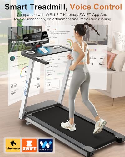 WELLFIT Incline Treadmill for Home, Heavy Duty Treadmills with 3.5HP 8.6MPH 375 lb Capacity