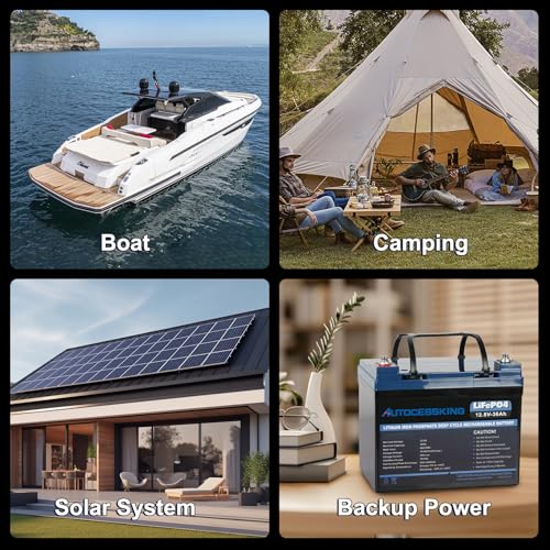 12V 100Ah BCI Group 24 LiFePO4 Battery, 100A BMS Rechargeable Mini Lithium Battery with Low-Temp Protection, Up to 15000 Cycles Perfect for RV