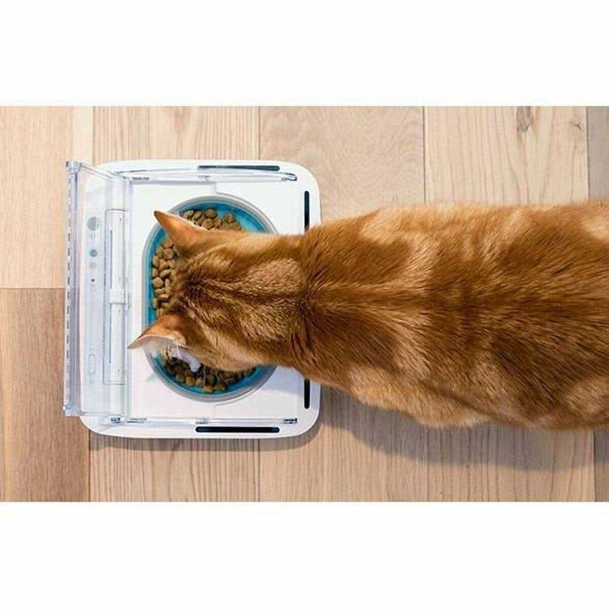 Sure Petcare Surefeed Sealed Pet Bowl - Pet Supplies online store