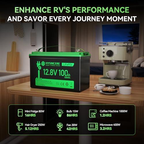 12V 100Ah LiFePO4 Lithium Battery, Mini Deep Cycle Rechargeable LiFePO4 Battery, Max.15000 Cycles Built in 100A BMS for RV, Trolling Motor, Camping