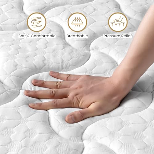 BedStory Queen Mattress