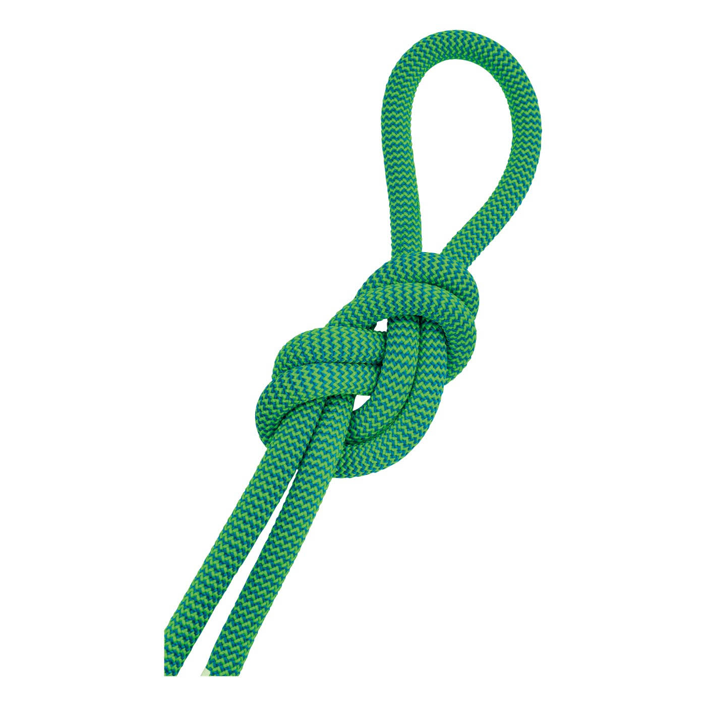 Salewa Speed Queen 9,1 mm Rope - 70 Meter - Green/Blue 70