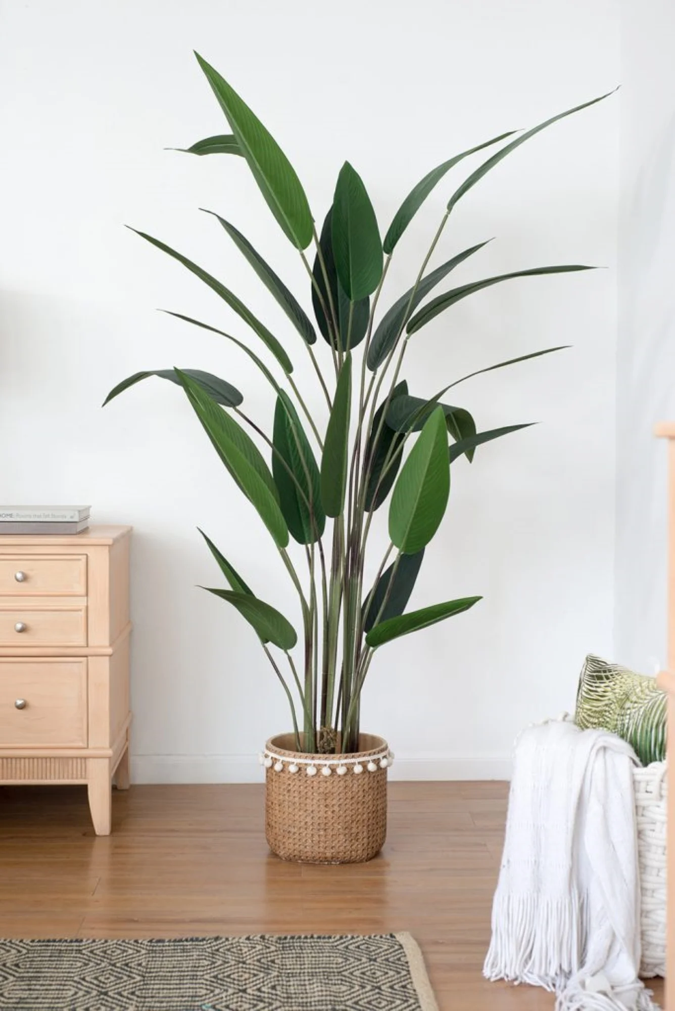 CC Home Furnishings Bird of Paradise Artificial Potted Tree - 6'
