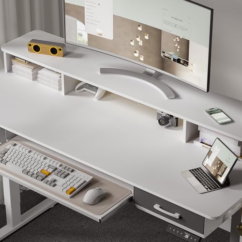 48x24 Inches Electric Standing Desk with 2 Drawers, Height Adjustable Stand up Desk for Home Office, Ergonomic Sit to Stand Table with Storage Shelf