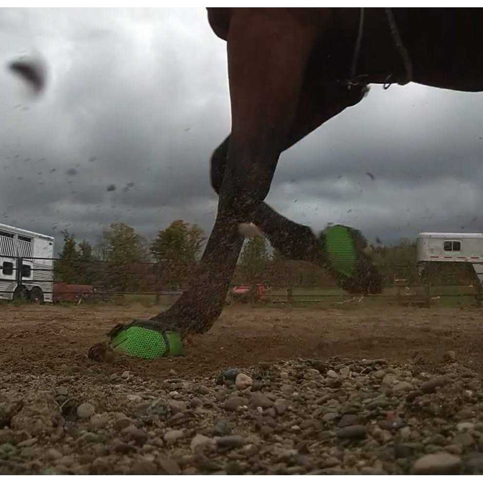 Cavallo Trek Boot - Sports Supplies Online Store