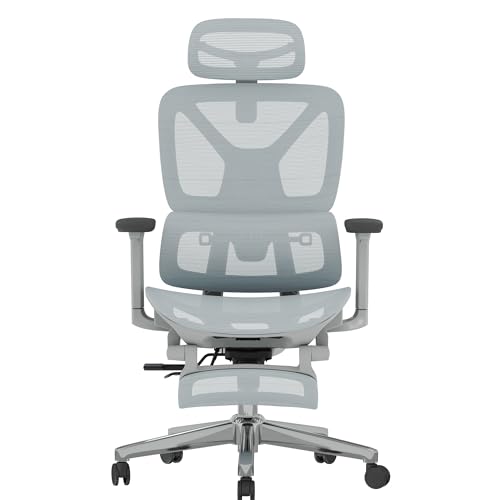 FLEXISPOT ErgoX Premium Ergonomic Office Chair with Footrest- Adjustable 3D Armrests, Dynamic Lumbar Support, Recline & Tilt Function, Mesh Seat