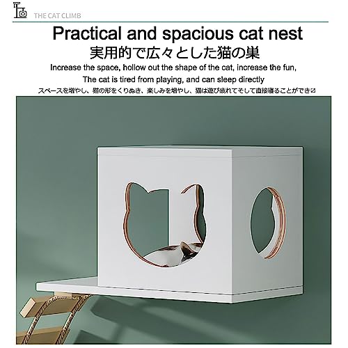 Cat Wall Furniture Set, Solid Wood Cat Shelves,cat Shelves and Perches for Wall