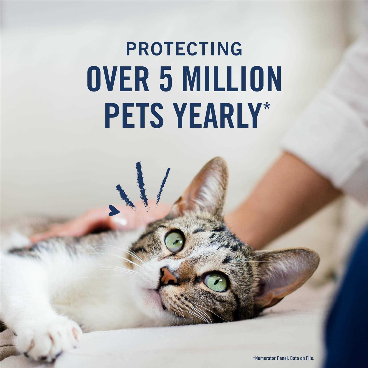 PetArmor Plus Flea and Tick Treatment for Cats - Pet Supplies online store