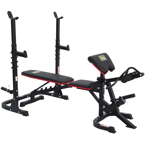 Adjustable Weight Bench, Workout Bench for Home Gym, Adjustable 6 Position Utility Bench with Leg Extension and Preacher Pad