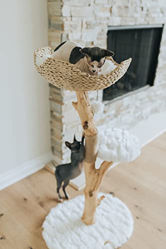 Wooden Cat Climbing Tree Tower, Modern Single Branch Cat Condo, Wood, Cat Lover Furniture Gift by MAU LIFESTYLE (Alpine White)