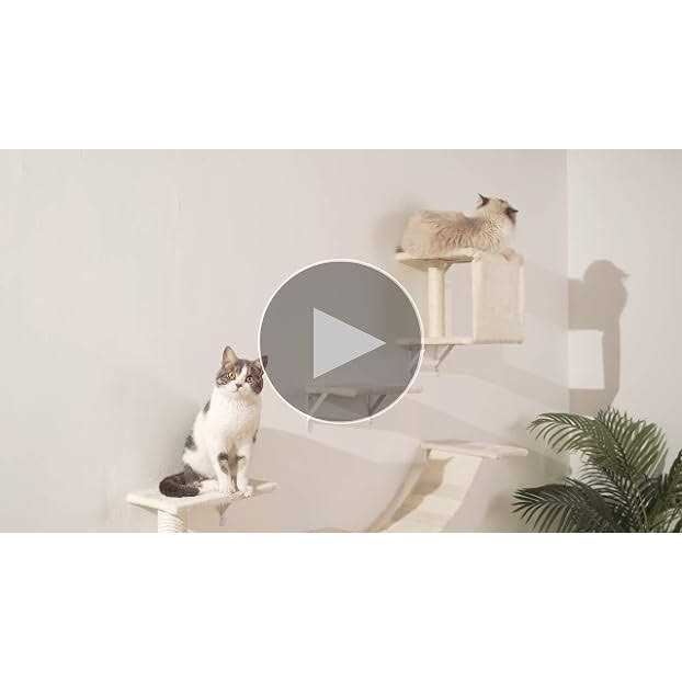 Modern Wall-Mounted Cat Furniture 5pcs Cat Wall Shelves Wooden Cat Climber Cat House, Bridge, Tree, Steps, and Scratcher - Pet Supplies online store