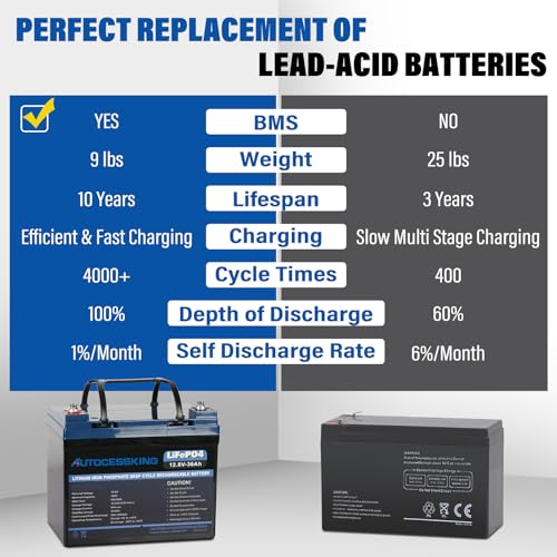 12V 100Ah BCI Group 24 LiFePO4 Battery, 100A BMS Rechargeable Mini Lithium Battery with Low-Temp Protection, Up to 15000 Cycles Perfect for RV