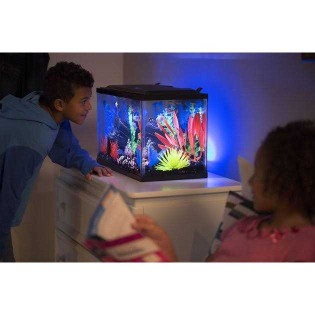 Glofish 10 Gallon Aquarium Kit - Pet Supplies online store