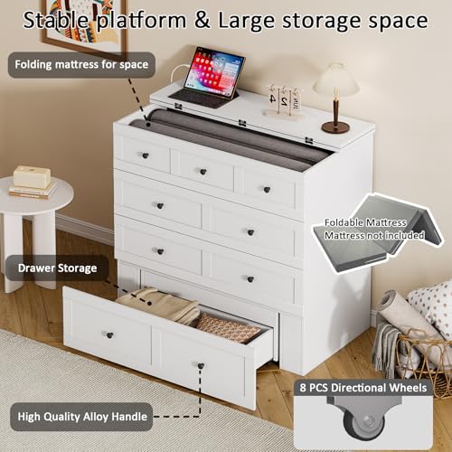 Queen Murphy Bed with Storage & Charging Station, Murphy Cabinet with Foldable Panel, Noisy Free, for Guest Bedroom, Living Room, Office