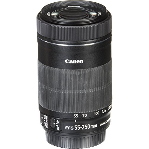 Canon 55-250mm STM