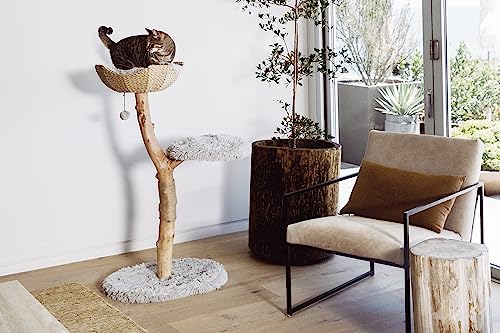 Wooden Cat Climbing Tree Tower, Modern Single Branch Cat Condo, Wood, Cat Lover Furniture Gift by MAU LIFESTYLE (Alpine White)