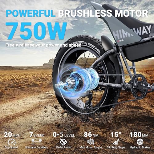 Himiway C5 Electric Bike 80 Miles 48V 20Ah Battrey, 750W Motor, Torque Sensor, 7-Speed, 20" x 4" Fat Tire Electric Bike, 20+MPH, 330LBS Payload