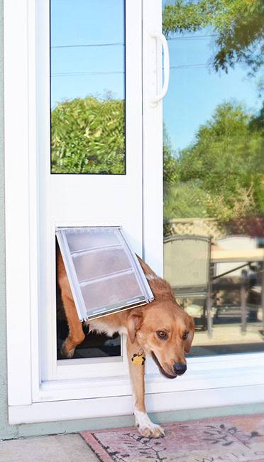Endura Flap Pet Door Thermo Panel 3E - Small Flap (6x22x 11x22), Height Range (77.25x22 - 80.25x22) White Aluminum Frame