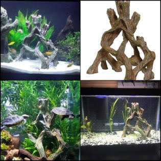 Marina Decor Mangrove Root - Pet Supplies online store