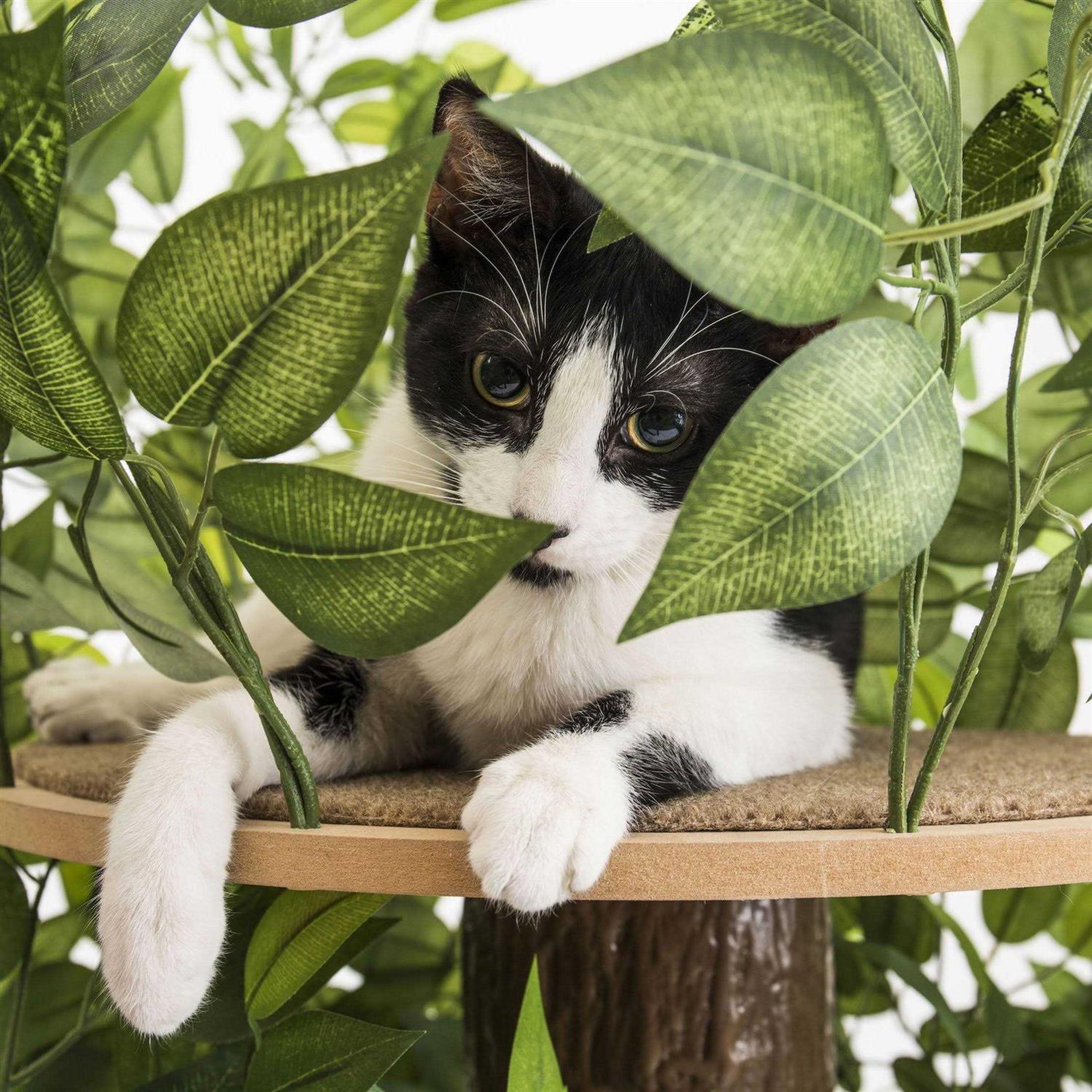 On2 Pets 4ft Interchangeable Leaves Cat Activity Tree Indoor Cat Tower - Pet Supplies online store