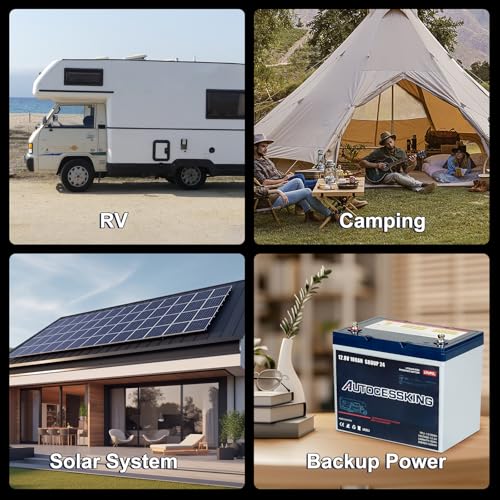 12V 100Ah BCI Group 24 LiFePO4 Battery, 100A BMS Rechargeable Mini Lithium Battery with Low-Temp Protection, Up to 15000 Cycles Perfect for RV