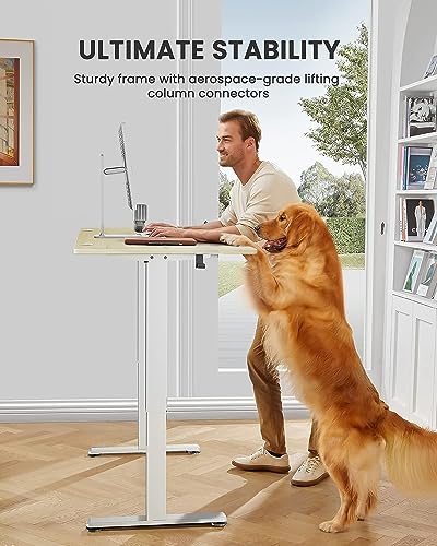 ErGear Height Adjustable Electric Standing Desk, 48 x 24 Inches Sit Stand up Desk, Memory Computer Home Office Desk with Two-Piece Desktop (Walnut)