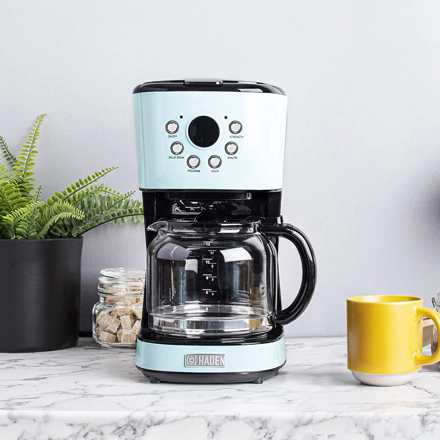 HADEN 75032 Heritage Innovative 12 Cup Capacity Programmable Vintage Retro Home Countertop Coffee Maker Machine with Glass Carafe  Turquoise Blue