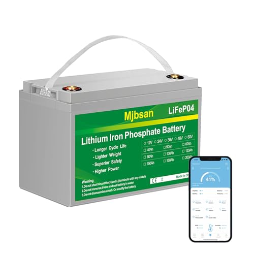 12V 100Ah LiFePO4 Battery 12V 100Ah Lithium Battery, Built-in 100A BMS 1280Wh,Up to 15000+ Deep Cycle Rechargeable Battery 12V