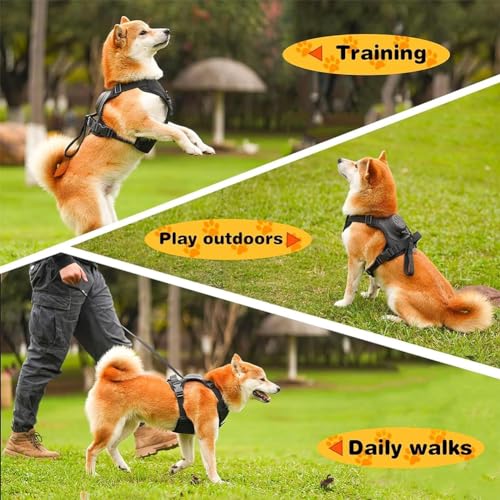 Poochbark 3 in 1 Dog Harness with Built-in Leash, Dog Harness with Retractable Leash, Adjustable Soft Padded Dog Vest, Auto-Lock & No-Pull Control