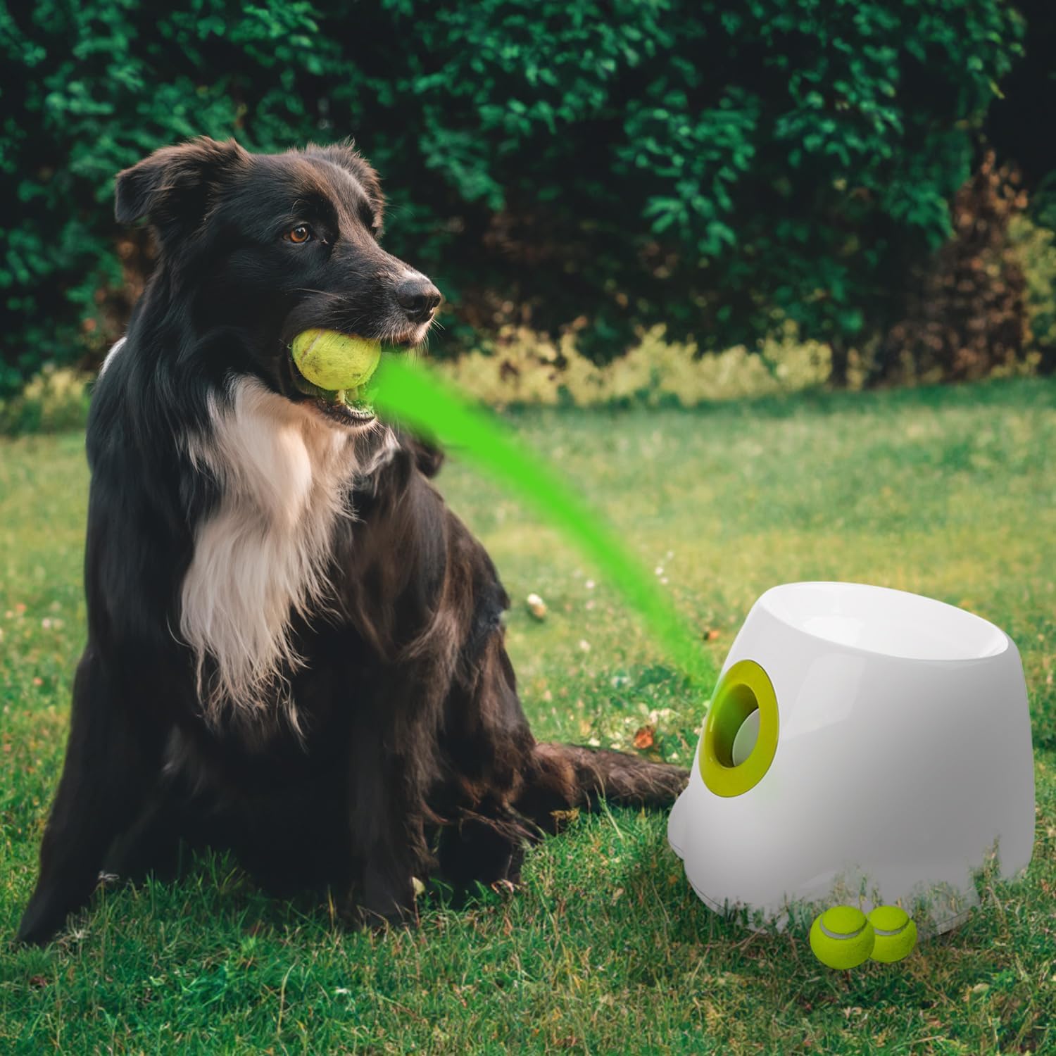 ALL FOR PAWS Automatic Ball Thrower for Dogs, Interactive Dog Ball Launcher Machine, rechargeable Fetch Toy with 3 Tennis Balls Included