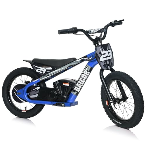 wanan Electric Dirt Bike for Kids 6-12 with Shock-Absorbing Front Fork, 250W Electric Motorcycle Up to 15.5MPH, 24V Detachable Battery, 16''