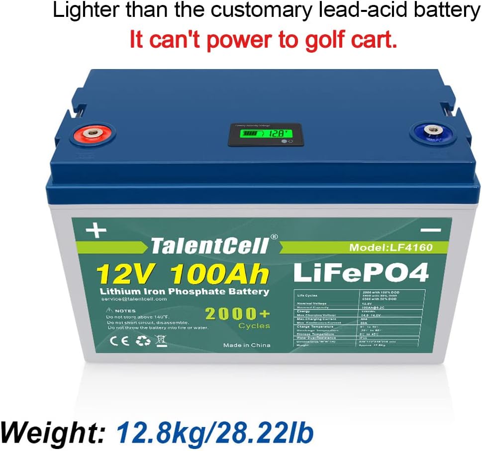 TalentCell Rechargeable 12V 100Ah Lithium Iron Phosphate (LiFePO4) Deep Cycle Battery Pack, Over 2000 Cycles