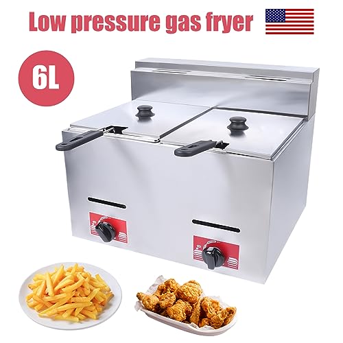 LPG Gas Deep Fryer Commercial Countertop Deep Gas Fryer Natural Gas Food Warmer Stainless Steel for French Fries Restaurant Home Kitchen