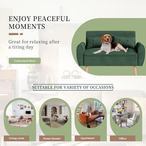 Vongrasig 47" Small Modern Loveseat Sofa
