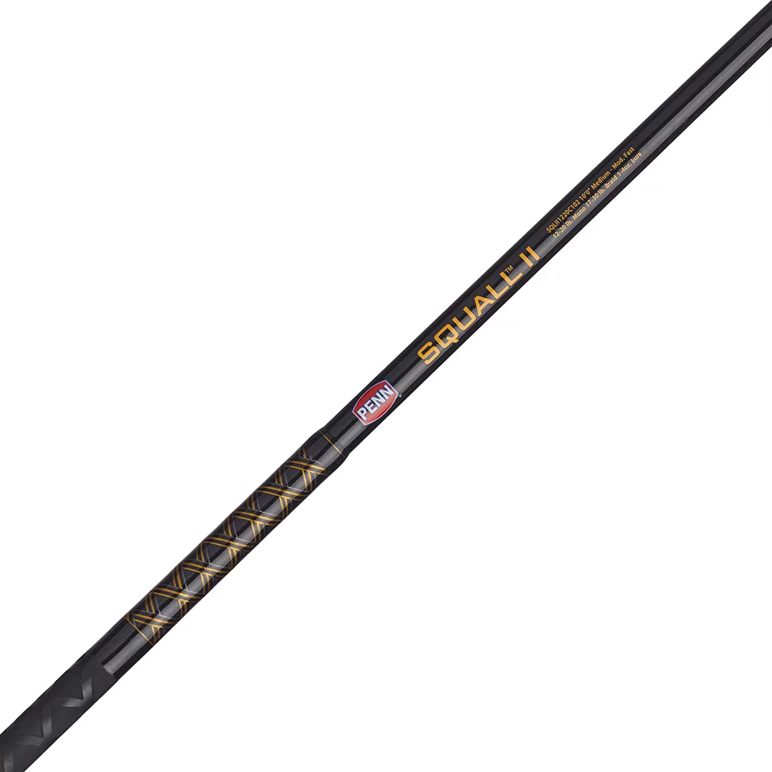PENN 10' Squall II Star Drag Conventional Combo, Reel Size 15
