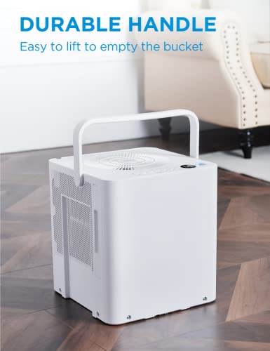 Midea Cube Dehumidifier for Basement, Crawlspace, Drain Hose Included, Smart Control - Radiant Selections