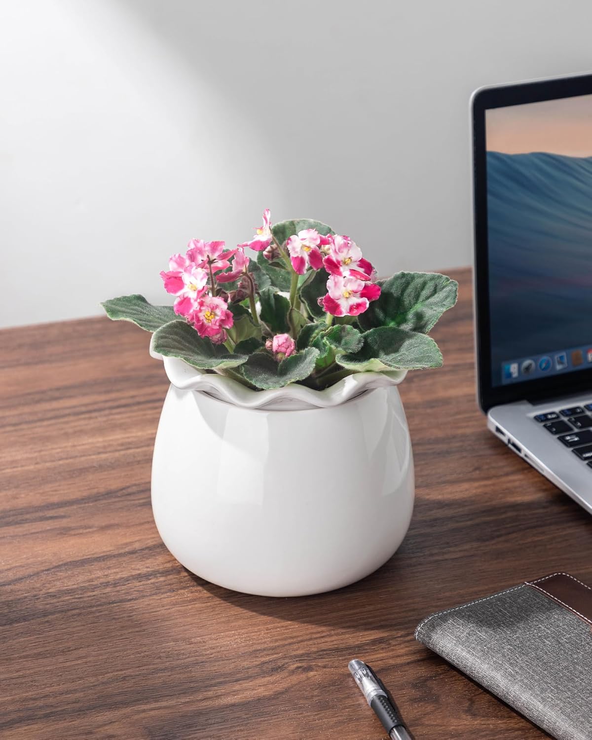 Self Watering Plant Pot, 6 Inch African Violet Pots Maintenance, Ceramic Self-Watering Planter for Indoor Plants