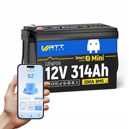 12V 314Ah Mini LiFePO4 Lithium Battery with Bluetooth 5.0, 200A BMS, 4.01kWh Energy, Upgraded Aluminum Cooling Fins & Braided Copper Wires, for RV