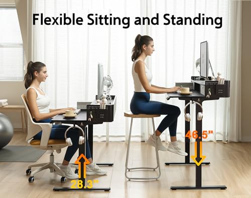48x24 Inches Electric Standing Desk with 2 Drawers, Height Adjustable Stand up Desk for Home Office, Ergonomic Sit to Stand Table with Storage Shelf