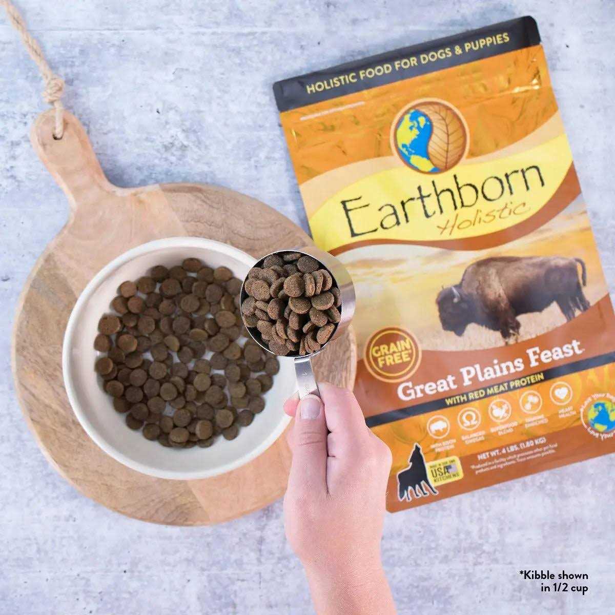 Earthborn Holistic Grain Free Great Plains Feast Dog Food - Pet Supplies online store