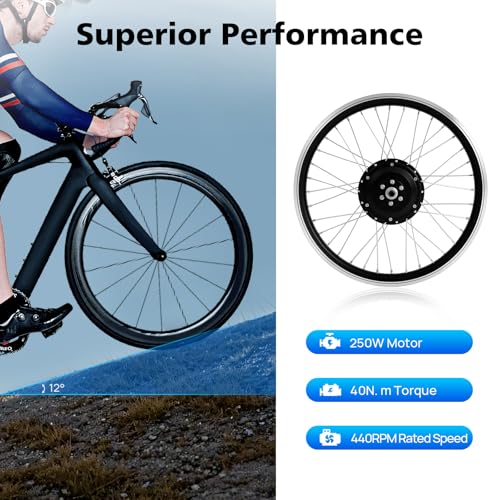 20" Front Wheel Hub Electric Bike Conversion Kit,36v Front Wheel E-Bike Conversion Kit with SW-810LED Display