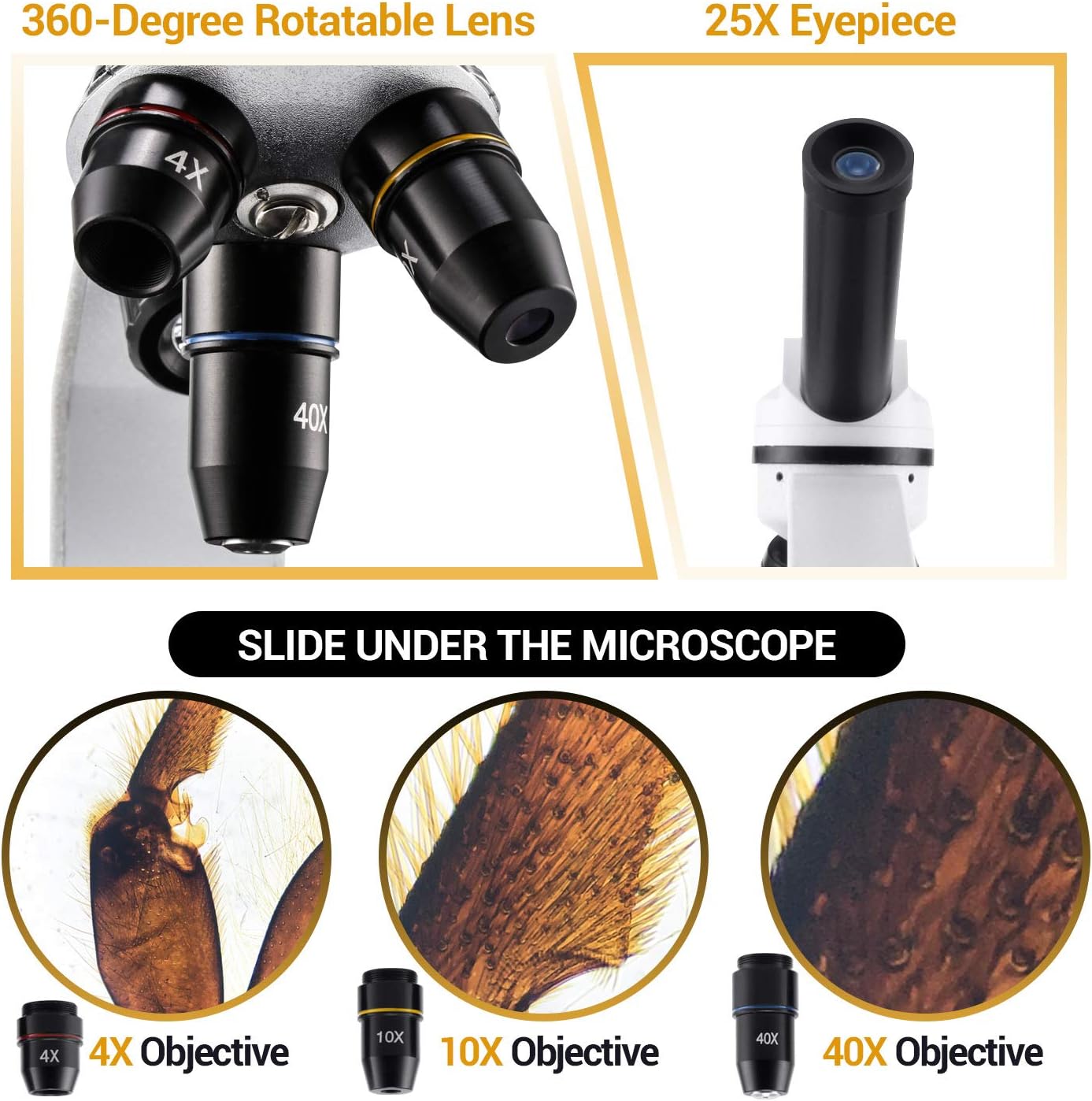 BNISE Microscope for Adults and Kids, 100X-1000X Magnification Lab Compound Monocular Microscopes with Illumination Dual LED