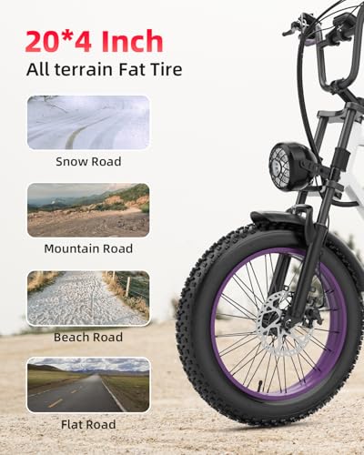V9-G60 Peak 1500W Ebike, 48V 20Ah(960WH) Removable Battery, 72Miles &32MPH,20" Fat Tire Dirt Bike,7 Speed Gears,Dual Shock Absorber