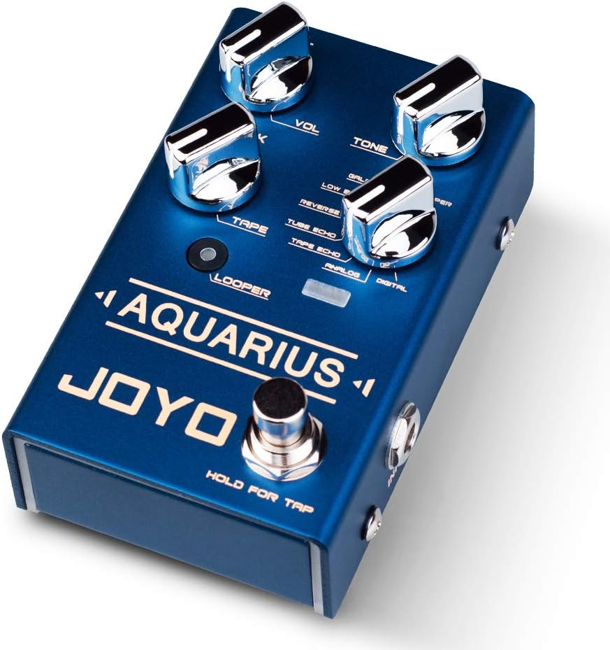 JOYO Aquarius R-07 R Series Digital Delay Effect Pedal 8 Digital Delay Effects with Looper (5 Minutes Recording Time) for Electric Guitar (R-07)