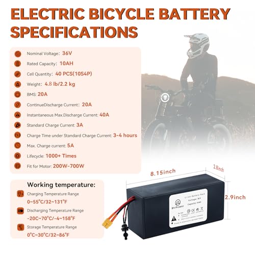 48V 20AH Ebike Battery, LiFePO4 Battery Pack with 40A BMS and 3A Fast Charger fit for 1500w-250w Motor, Electric Motorcycle Bike Scooter,Go cart