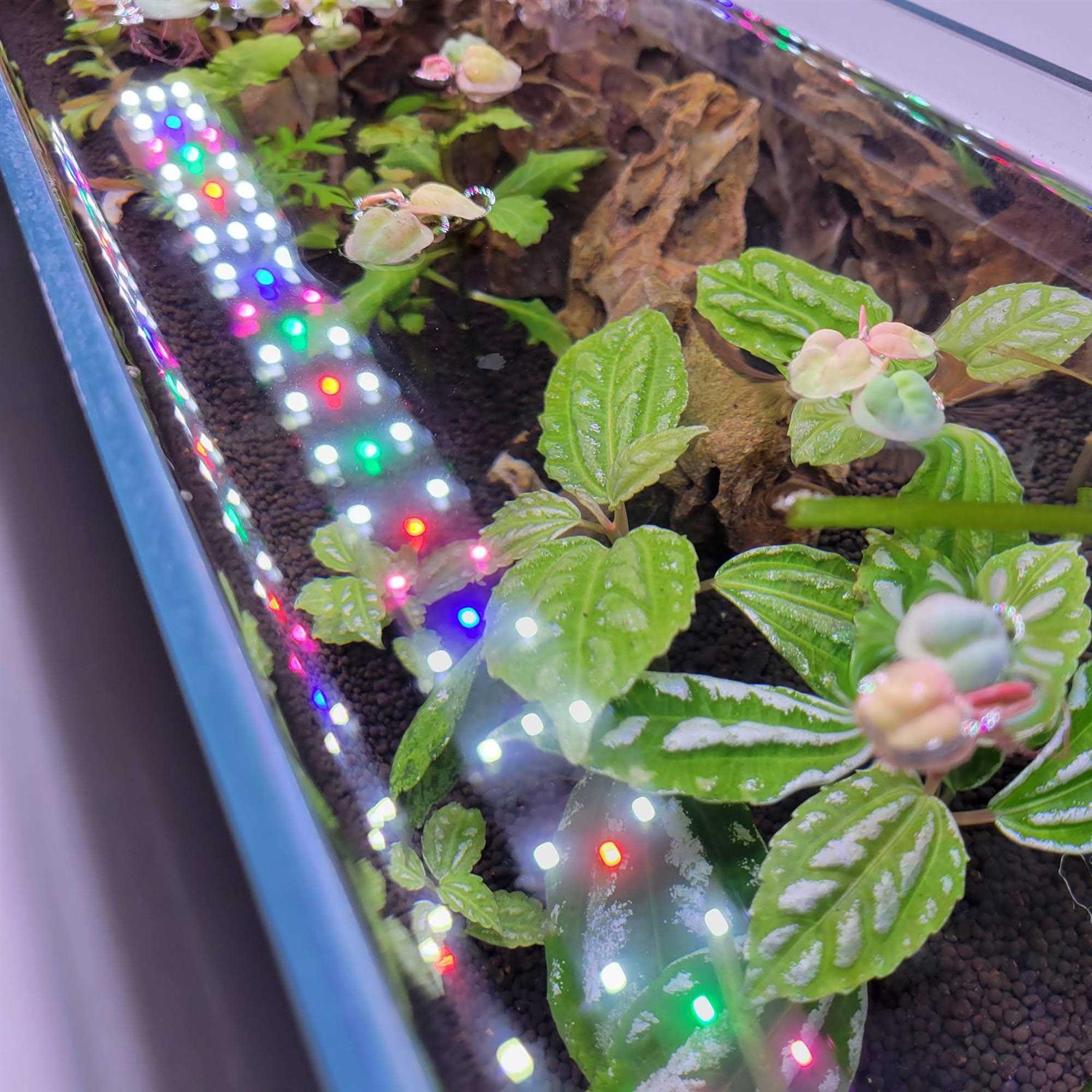 Lifegard Aquatics Full Spectrum LED Aquarium Light - Pet Supplies online store